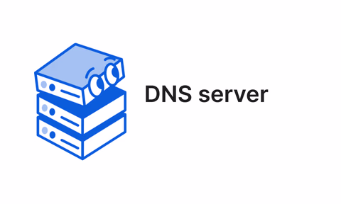 DNS